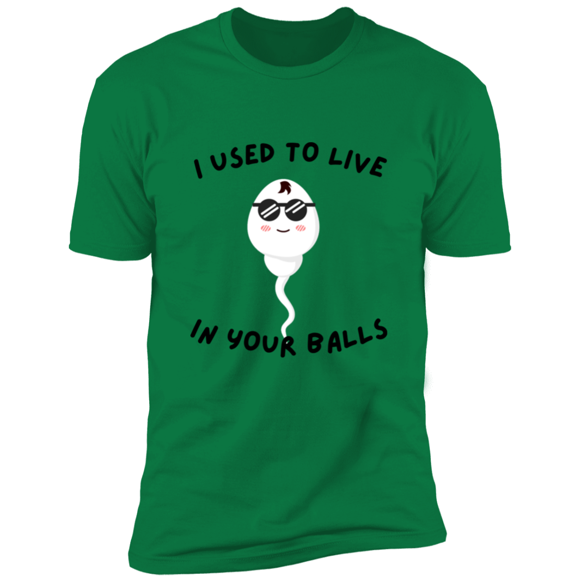 I used to live in your balls Premium Short Sleeve Tee