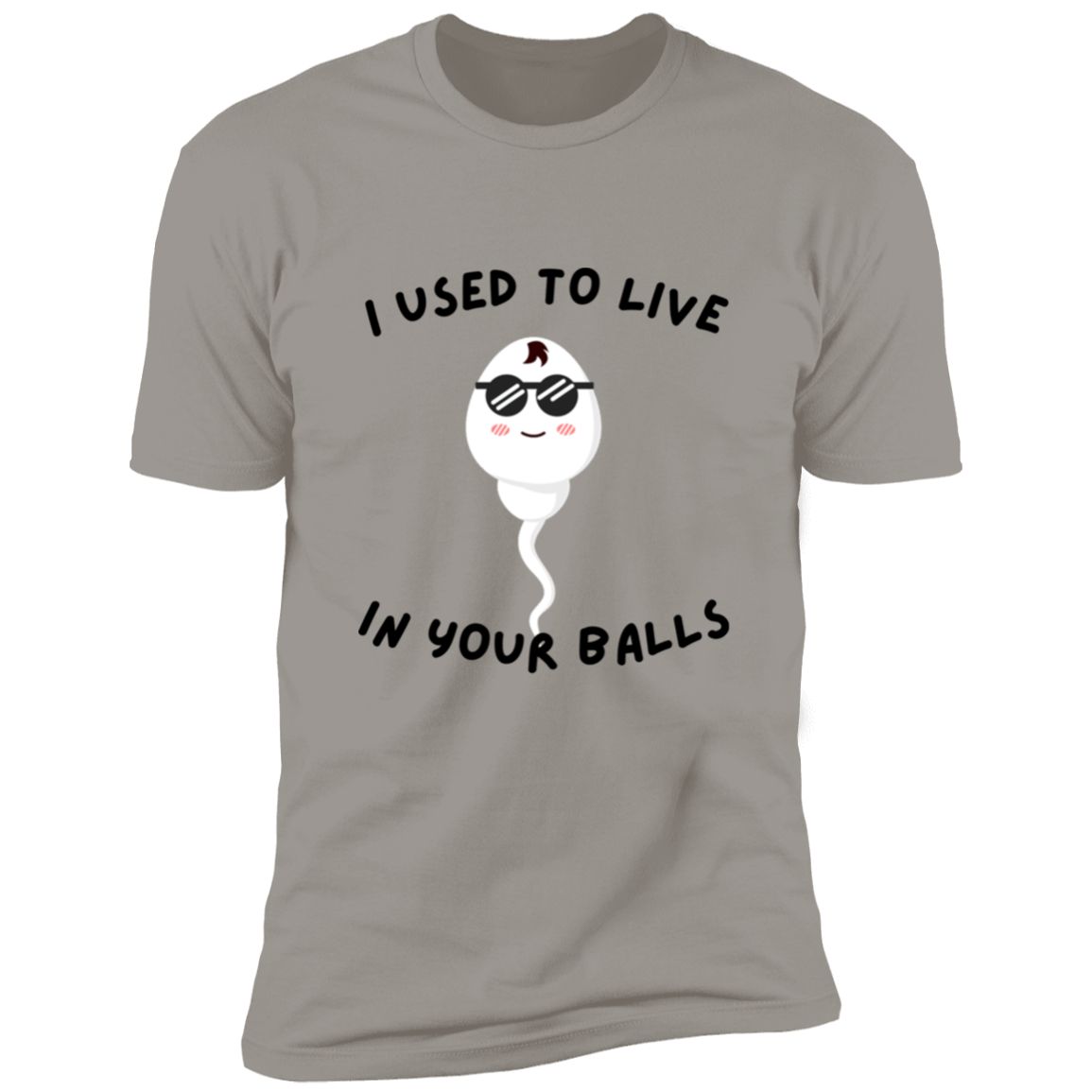 I used to live in your balls Premium Short Sleeve Tee