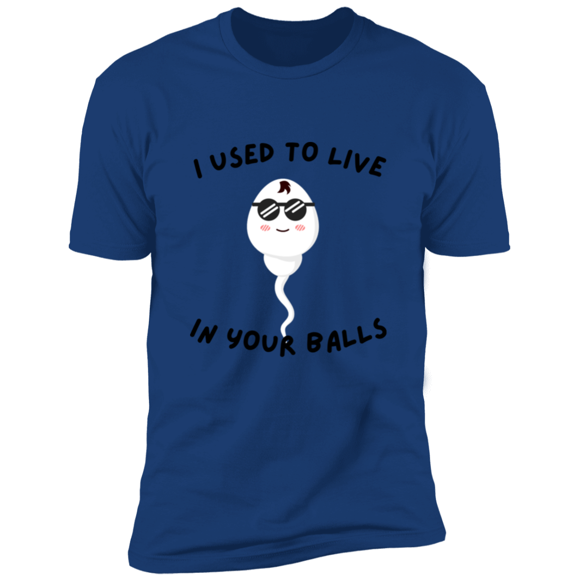 I used to live in your balls Premium Short Sleeve Tee