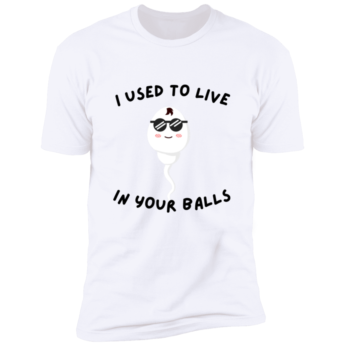 I used to live in your balls Premium Short Sleeve Tee